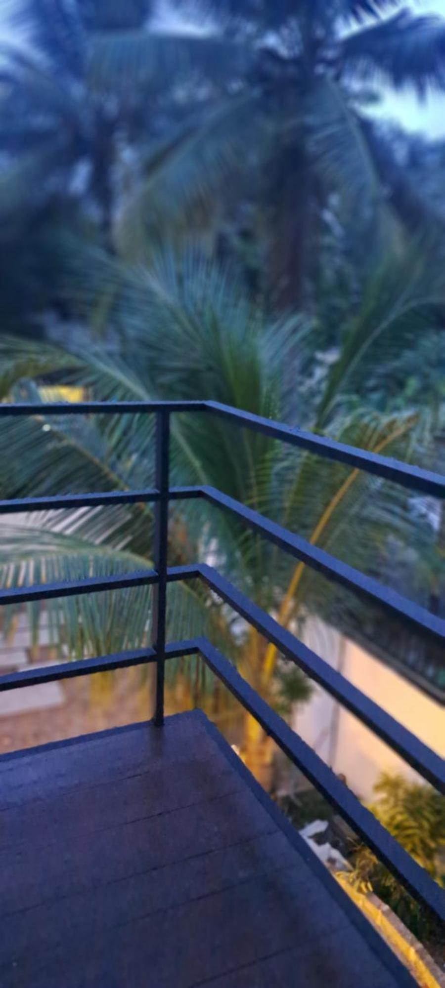 Cactus Surf Hotel Ahangama Kültér fotó